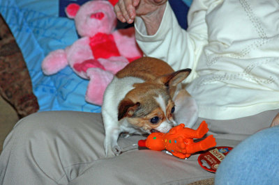 IMG_0042e_Pb.jpg