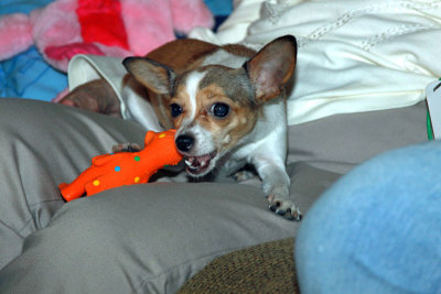 IMG_0044e_Pb.jpg