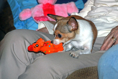 IMG_0045e_Pb.jpg