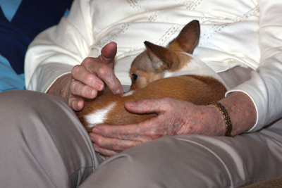 IMG_0068e_Pb.jpg