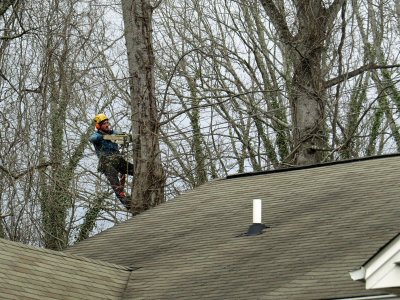 IMG_0013ePb.jpg