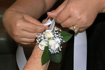 IMG_0082e+Pb.jpg