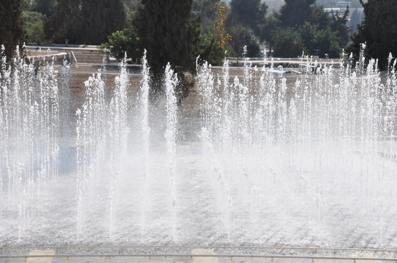 11-11-2013-43.JPG