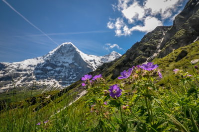Mnnlichen - Kleine Scheidegg- panoramic trail