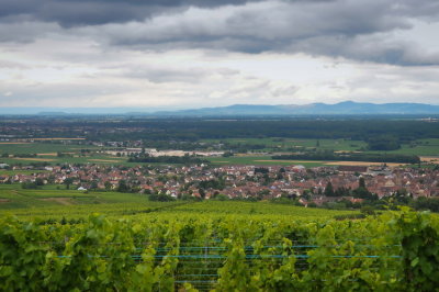 colmar eguisheim 