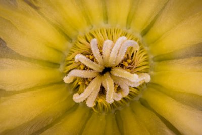 20161009-007.JPG