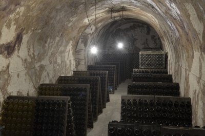 Cellar in Champagne