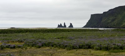 20130616-04-Vik01.JPG