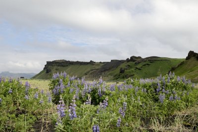 20130616-04-Vik04.JPG