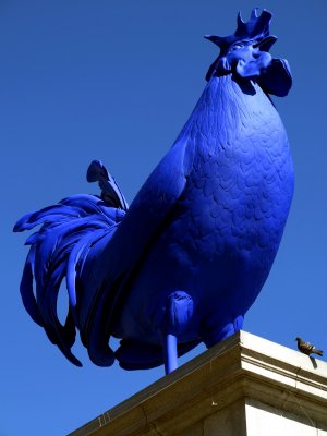 Blue Cockerel, Trafalgar Square_0664.jpg
