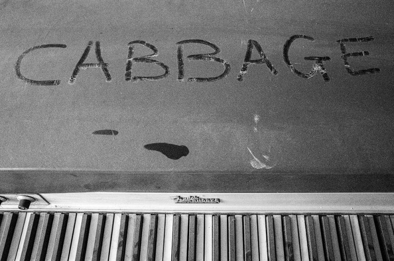 CABBAGE 2016 - 2017