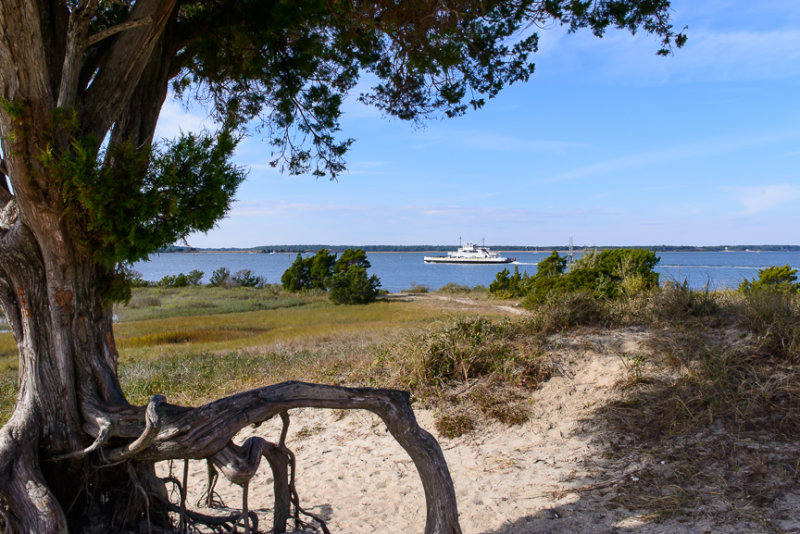 RHS-Port1213-3.jpg