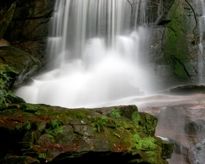 LB close 4 8x10.jpg