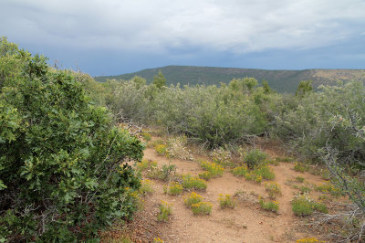 Black Canyon of the Gunnison NP