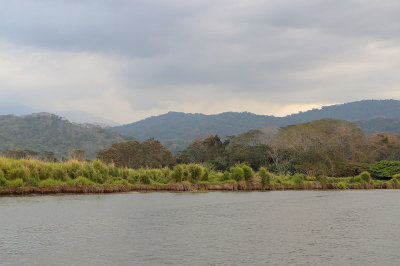 Tarcoles River