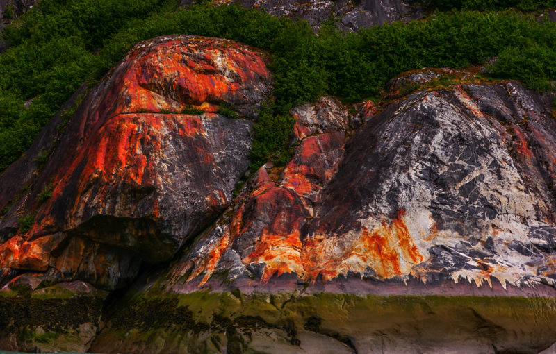 Colors of nature, Endicott Arm, Alaska, 2013