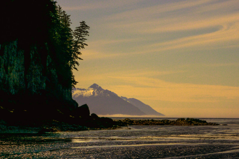 Carol Island, Alaska, 2013