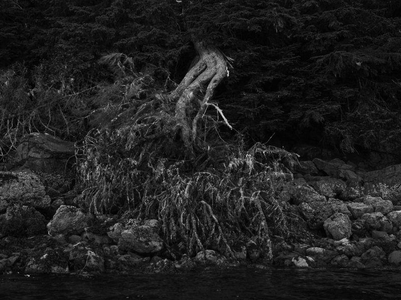 Aftermath, Pybus Bay, Alaska, 2013