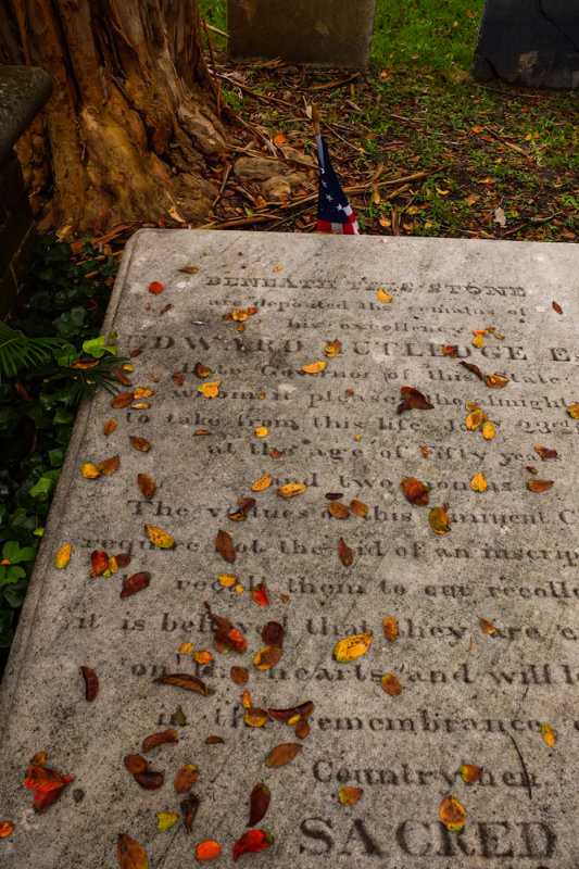 Under the leaves, St. Philips Graveyard, Charleston, South Carolina, 2013
