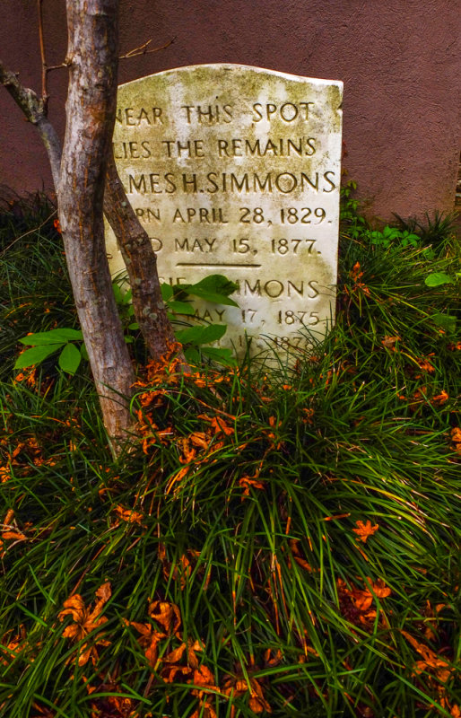 Sprouts, Graveyard of the Circular Church, Charleston, South Carolina, 2013