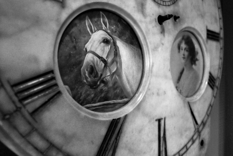 Equine time, Charleston Museum, Charleston, South Carolina, 2013