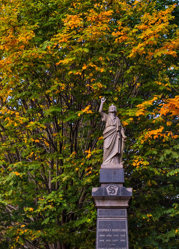 Changing seasons, Green-Wood Cemetery, Brooklyn, New York, 2013