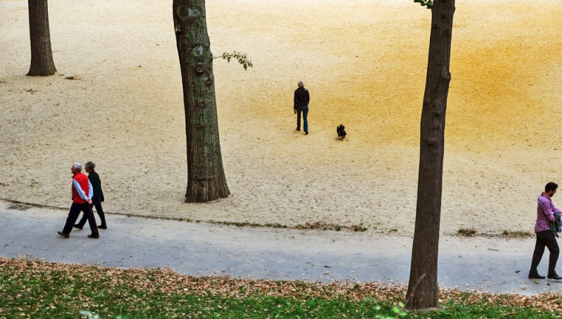 Opposite paths, Central Park, New York City, New York, 2013