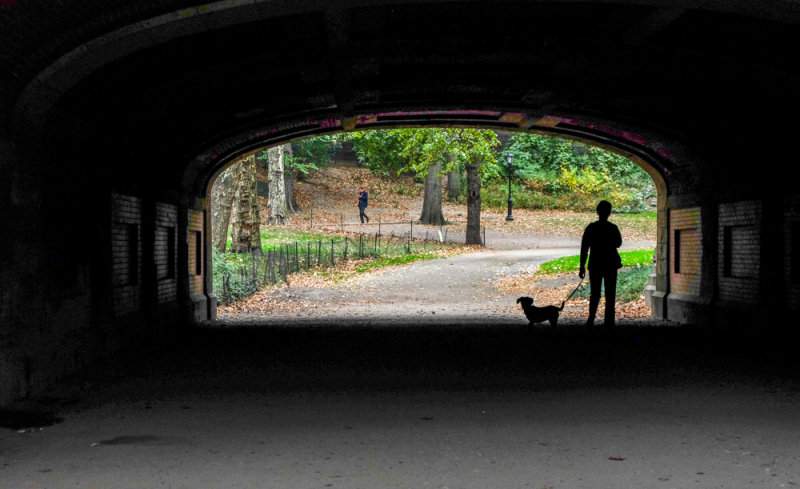 The underpass, Central Park, New York City, New York, 2013