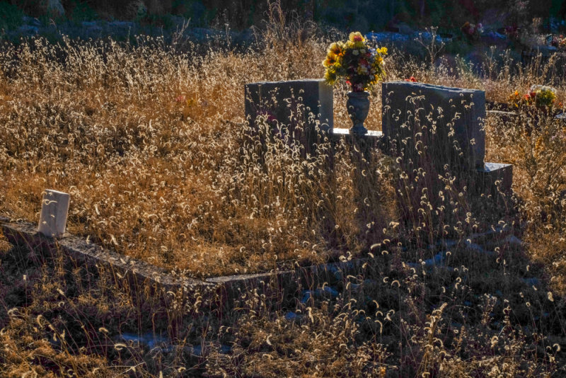  Cedarvale Cemetery, White Oaks, New Mexico, 2014