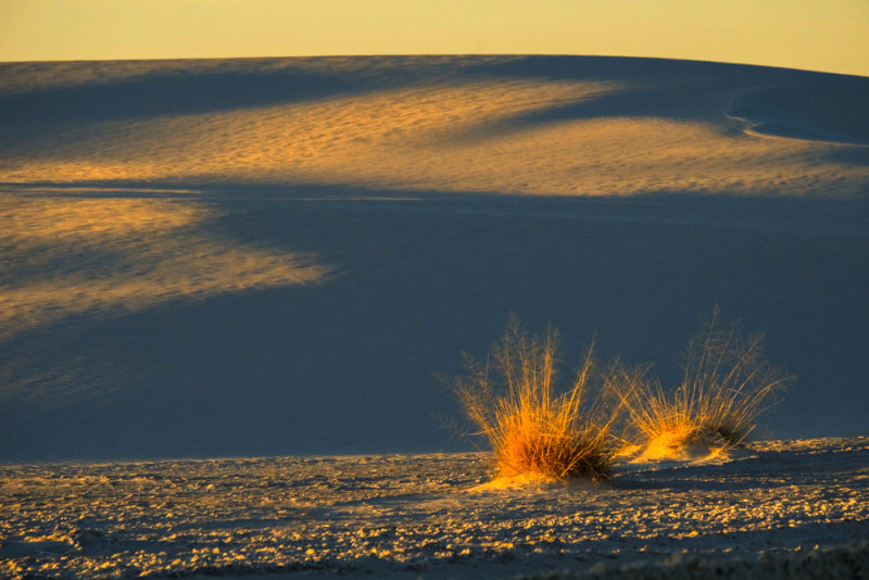 Dunes, White Sands National Monument, New Mexico, 2014
