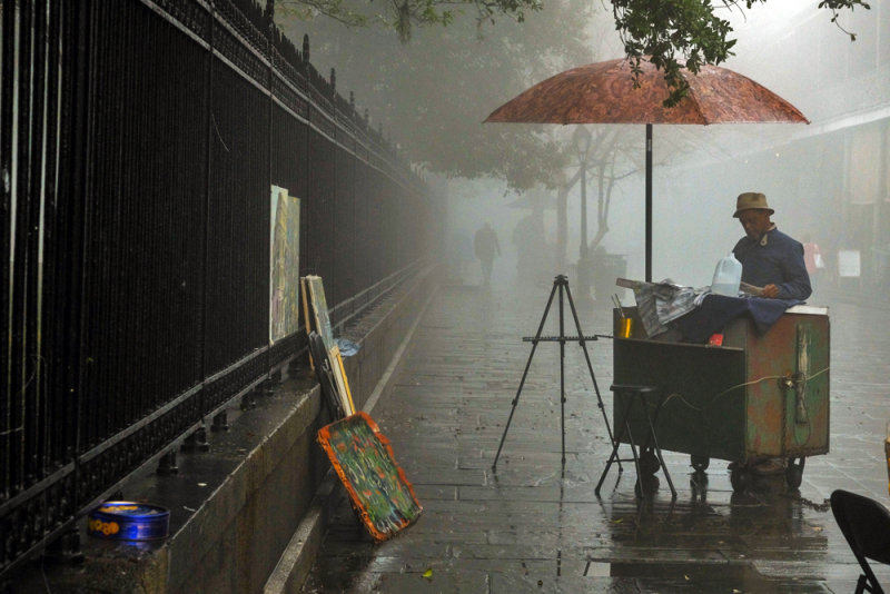 Persistence, Jackson Square, New Orleans, Louisiana, 2014