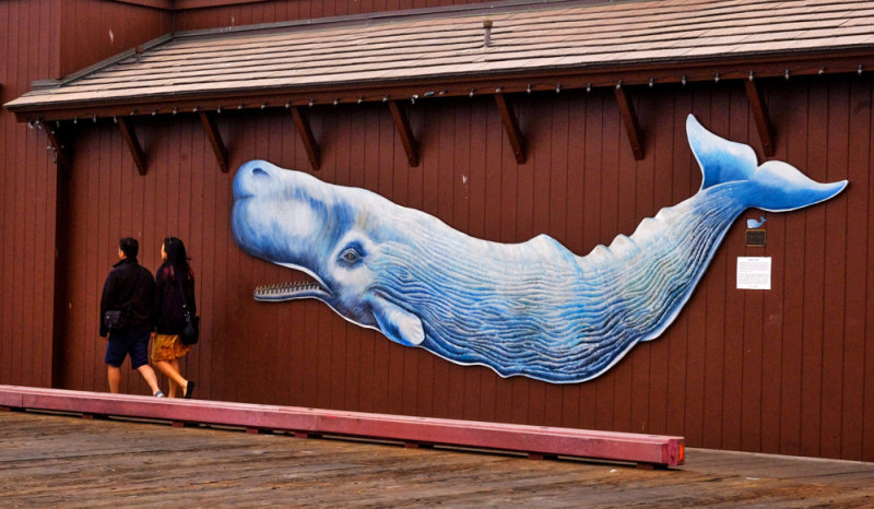 Moby Dick, Stearns Wharf, Santa Barbara, California, 2013