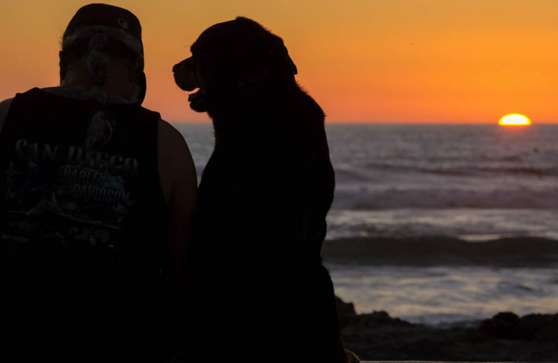  Beach mates, Imperial Beach, California, 2014