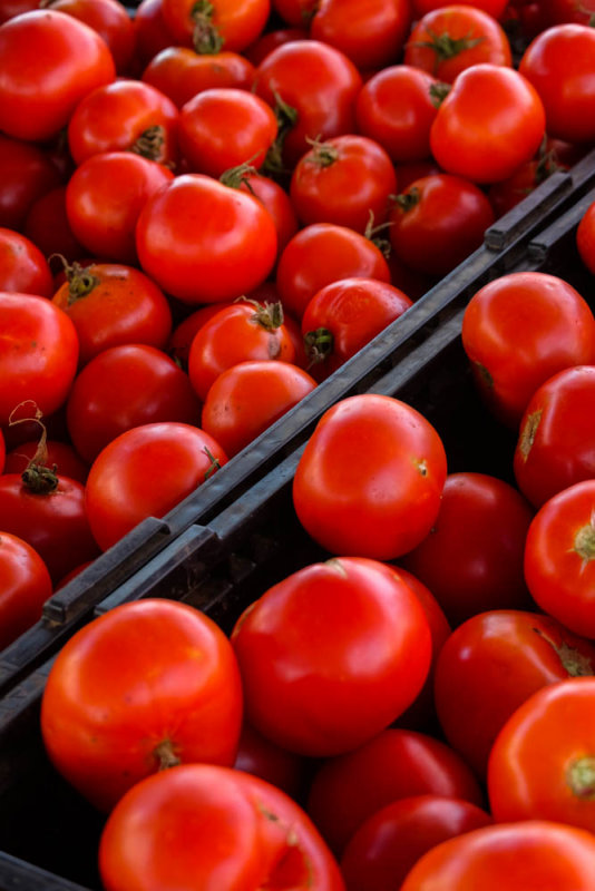 Tomatoes, Farmers market, Imperial Beach, California, 2014
