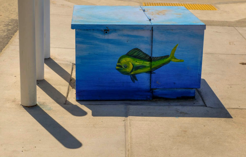 Painted electrical utility box, Imperial Beach, California, 2014.