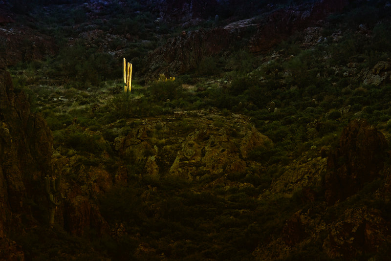 Isolation, Peralta Canyon, Arizona, 2014