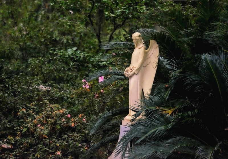 Isolation, Bonaventure Cemetery, Savannah, Georgia, 2014