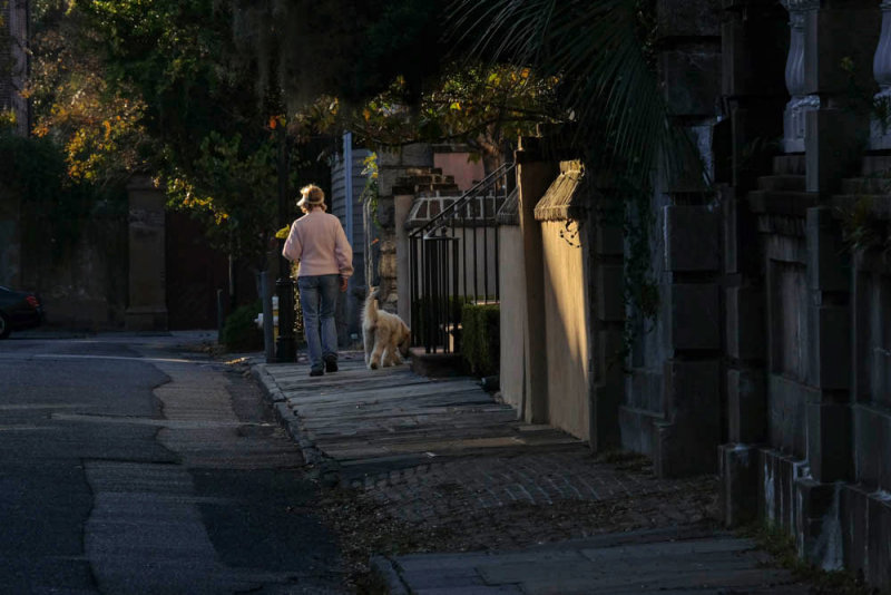Into the shadows, Charleston, South Carolina, 2014