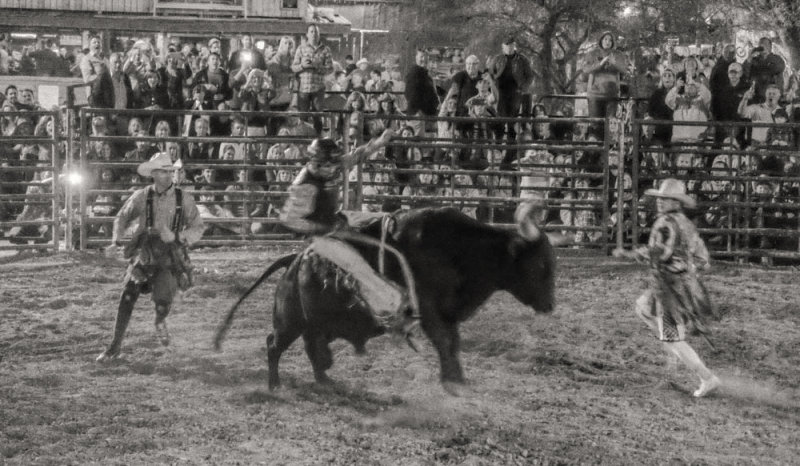 Going, going, gone, Cave Creek, Arizona, 2015