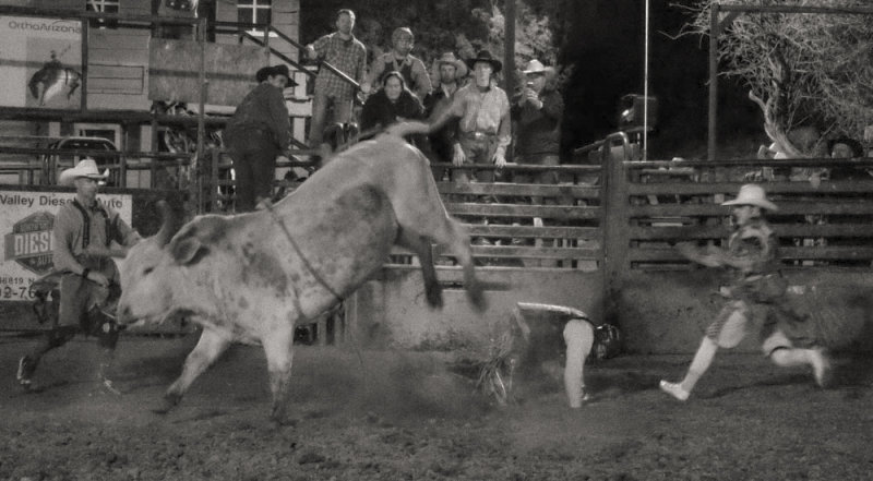 Scramble, Cave Creek, Arizona, 2015