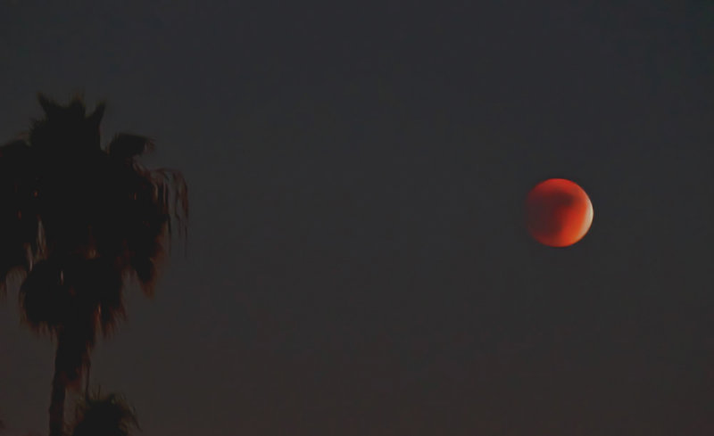 Lunar eclipse, Mission Beach, California, 2015