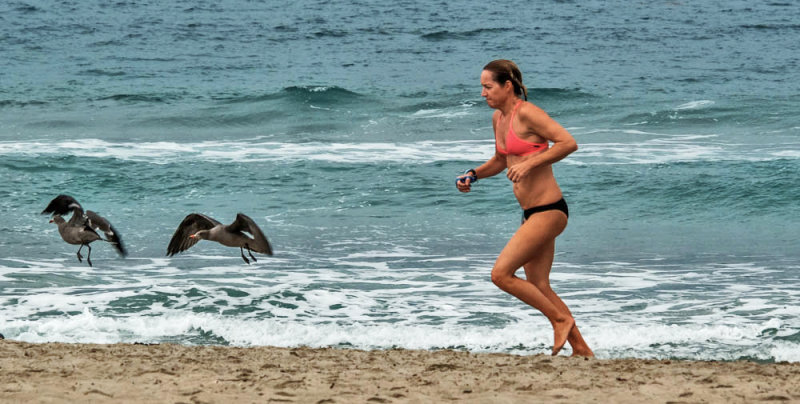Setting the pace, Mission Beach, California, 2015
