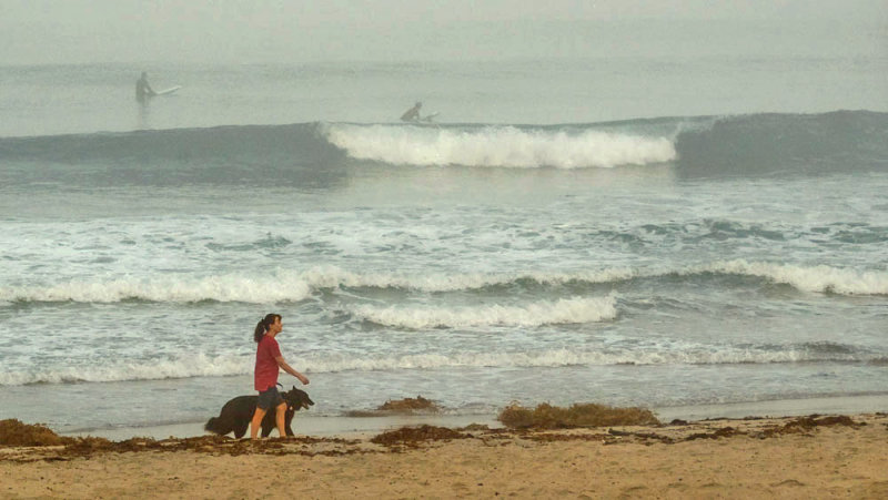 Walking the dog, Mission Beach, California, 2015