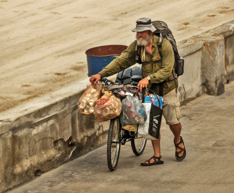 Scavenger, Mission Beach, California, 2015