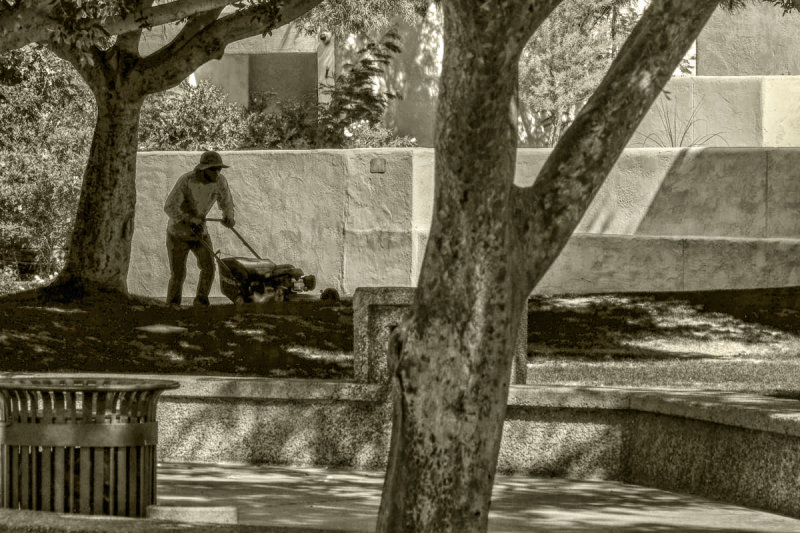 Grooming the park, Scottsdale, Arizona, 2016