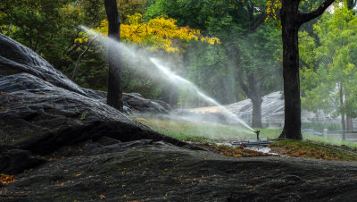 Watering Central Park, New York City, New York, 2013