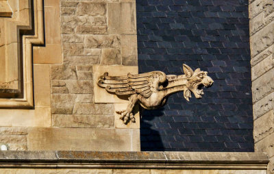 Gargoyle, St. Johns Cathedral, Jacksonville, Florida, 2014