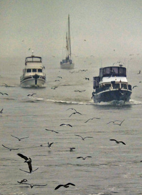 Convoy approaching Savannah, Georgia, 2014