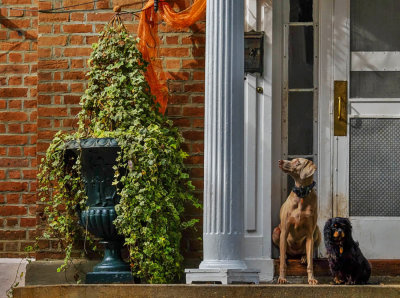 On guard, Beaufort, South Carolina, 2014
