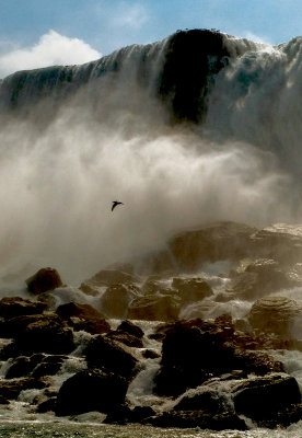 The plunge, Niagara Falls, New York, 2015